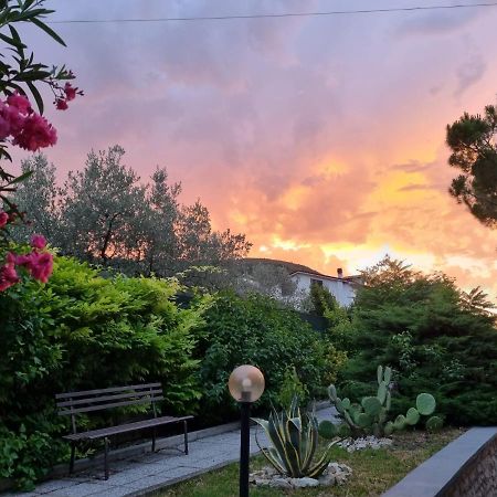 Bed and Breakfast San Casciano Нарни Экстерьер фото